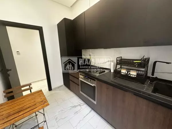 A LOUER S+1 MEUBLE