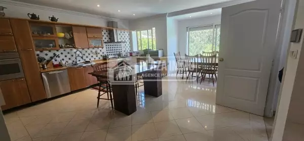 A Louer Un Duplex S+3 Meublé A Gammarth Supérieur