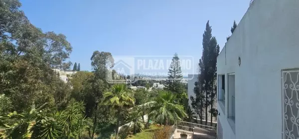 A Louer Un Duplex S+3 Meublé A Gammarth Supérieur