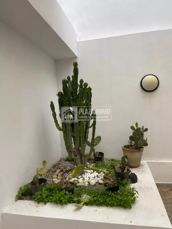 A louer appartement S2 meublé la marsa