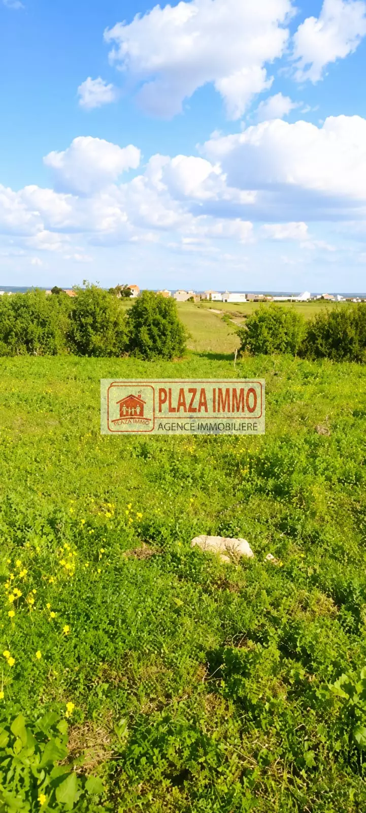 À Vendre Terrain de 250 m² à hammam el ghzez Kélibia