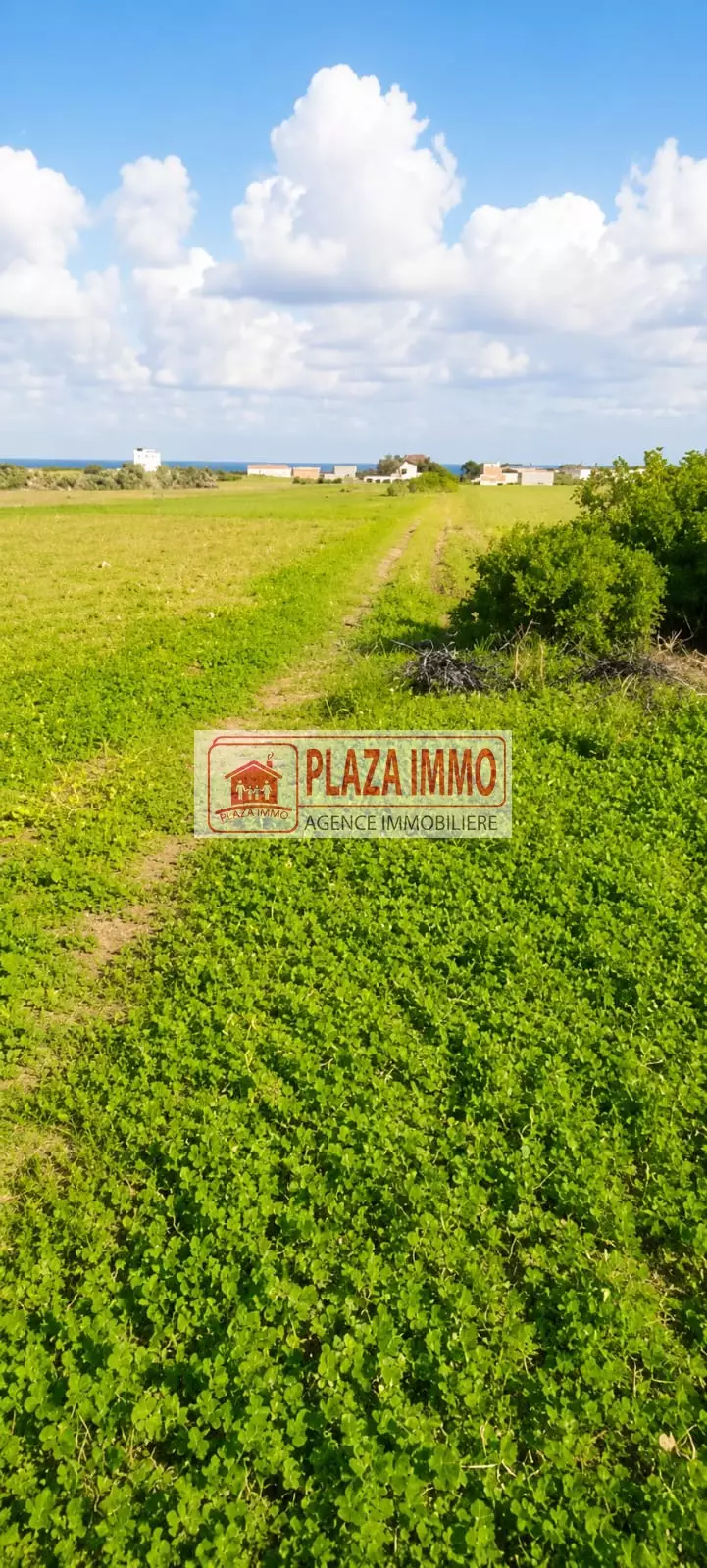 À Vendre Terrain de 250 m² à hammam el ghzez Kélibia