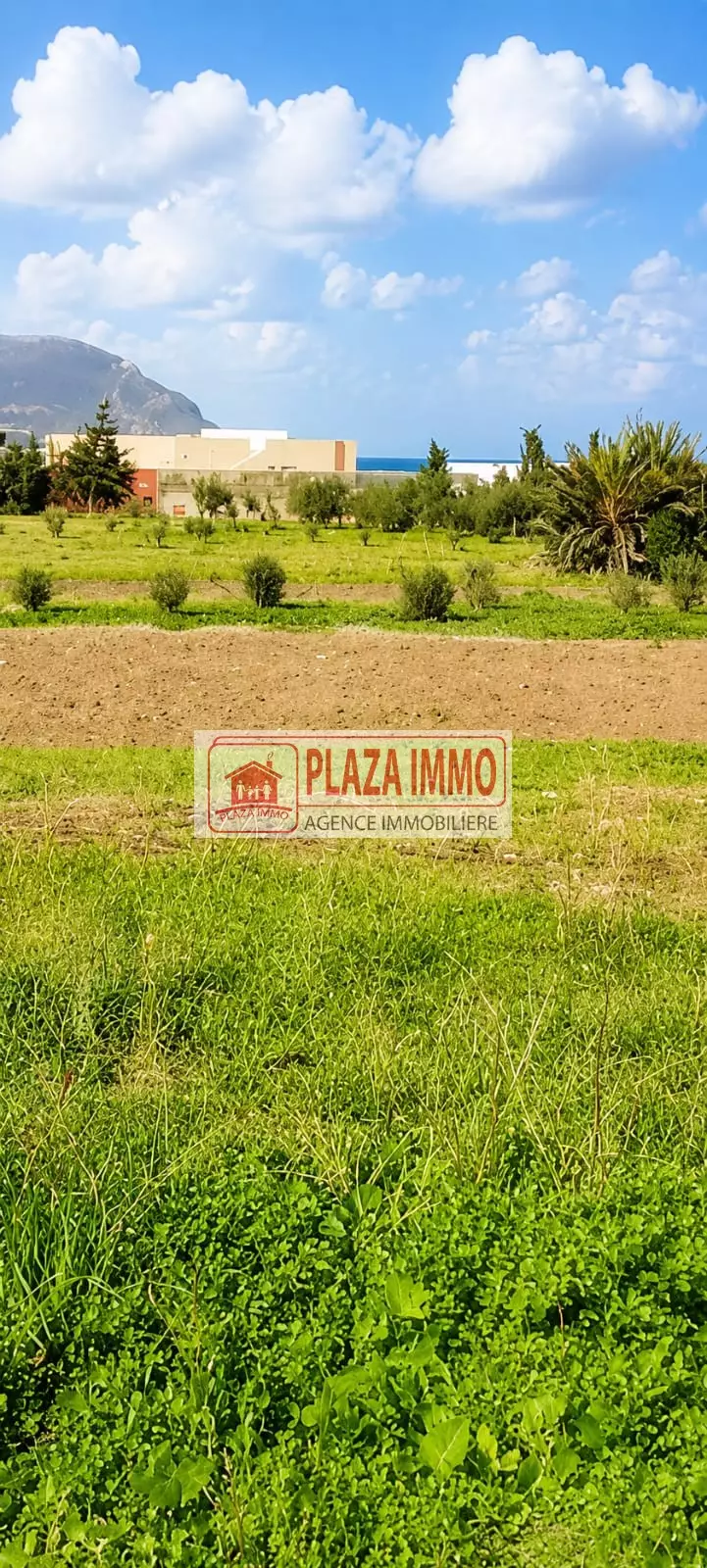 À Vendre Terrain de 250 m² à hammam el ghzez Kélibia