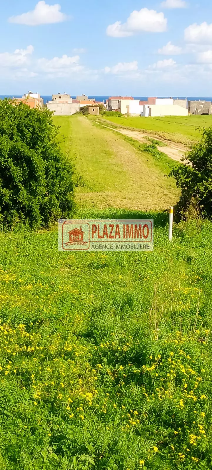 À Vendre Terrain de 250 m² à hammam el ghzez Kélibia