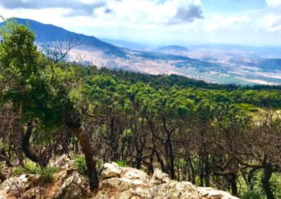 Exceptionnel Vente Terrain de 33 Hectares à El Fejja